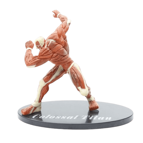 Figurine Titan Colossal